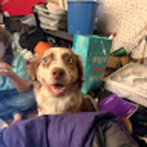 Meet your Posher, Renee